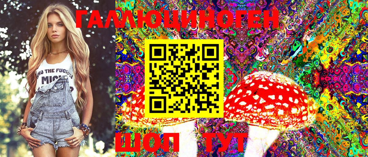 Псилоцибиновые грибы GOLDEN TEACHER Красноармейск