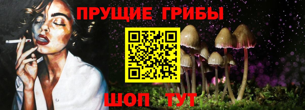 Красноармейск  Галлюциногенные грибы Magic Shrooms  Вход с VPN 